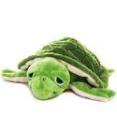 Opwarmbare knuffel zeeschildpad kopen